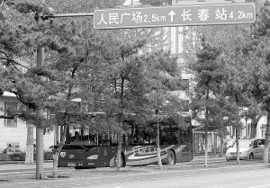 �����Ǳ���ѩ�����������Ć᣿