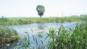 ɽ�|����������������B�� ��Ҫ�����^��ֲ��o��@