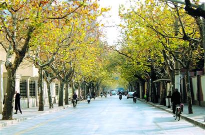 �D�ģ���ͩ�����������Ρ��h������