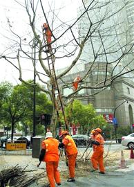 �D�ģ���ͩ�����������Ρ��h������