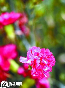 �������^(q��)�jᄻ��ݸ��QӋ�� ���ӡ�������