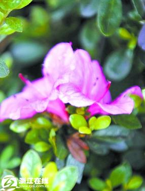 �������^(q��)�jᄻ��ݸ��QӋ�� ���ӡ�������