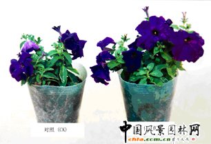 ������������Һ�w����(�D)