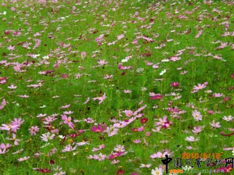 ʢ�_�Ĳ�˹��