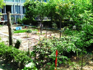 С�^�����G�ؾ��ɡ�˽�҈@�֡�