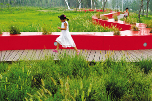 ���t�h�����P���ػʍu���I���(�D)