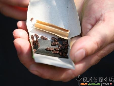 �����Ќ��ጷź��x�씳 ���Η���������