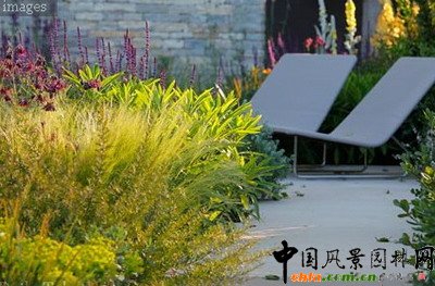 ���չ�@����ÿ���Ӎ�@��The Daily Telegraph��