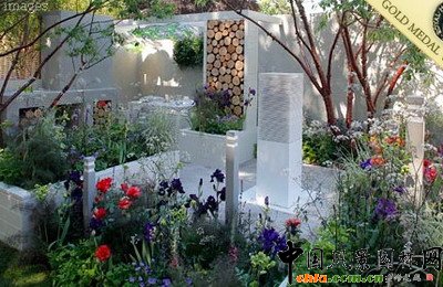  ��ѳ��л��@�����dʢ�@��Thrive��