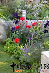  ��ѳ��л��@�����dʢ�@��Thrive��