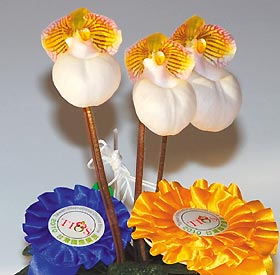 ӢŮ���Qٝ�_���m��