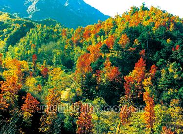 �����в��~���ֹ���ȡ���@����Ч