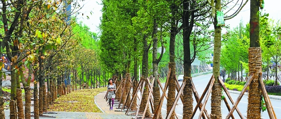 ɭ���ؑc��һ�����B�������������׃��D��