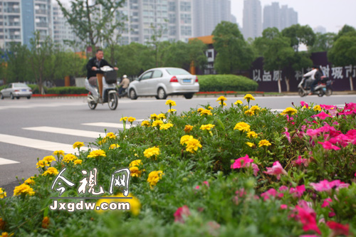 �ϲ����t�Ȟ��G������ ���O۶��߅�����B�G��