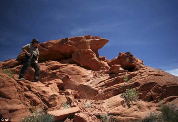 �c�����´��ڞg�[�DƬ