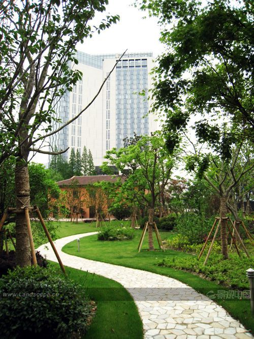 �c�����´��ڞg�[�DƬ