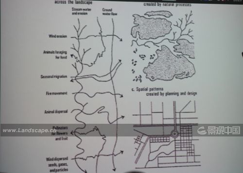 �c(di��n)�����´��ڞg�[�DƬ