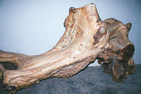 �°�ľ��Ŀ��Ȼ���ľ������һ���˞�ĳ���