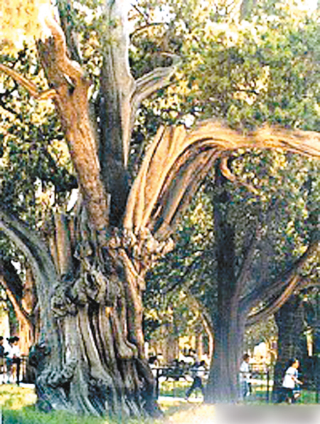 �°�ľ��Ŀ��Ȼ���ľ������һ���˞�ĳ���