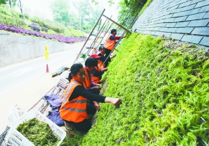 �Ͼ������w�G��ԇ��Ʒ ���ڷN�Ϸ�ײ�