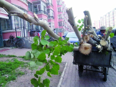 �����I��ҹ��������� �㷻�^(q��)ǧ�þG��K׃�d�䘶