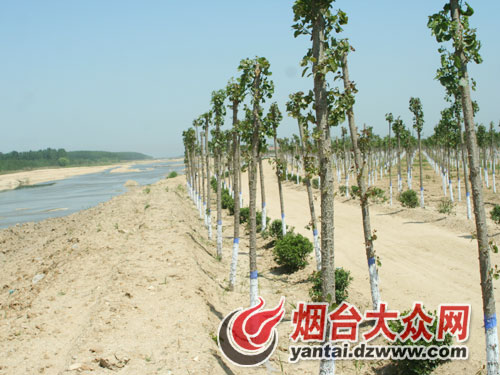 �c���g�[��һ��