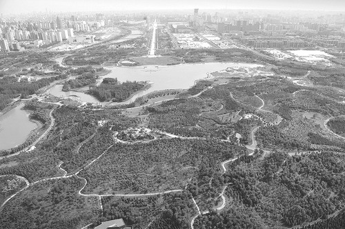 �c�����´��ڞg�[�DƬ