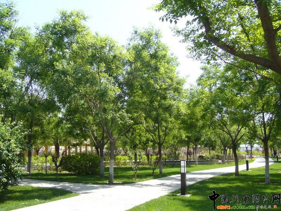 2009�걱���@�փ����OӋ��--���I���@