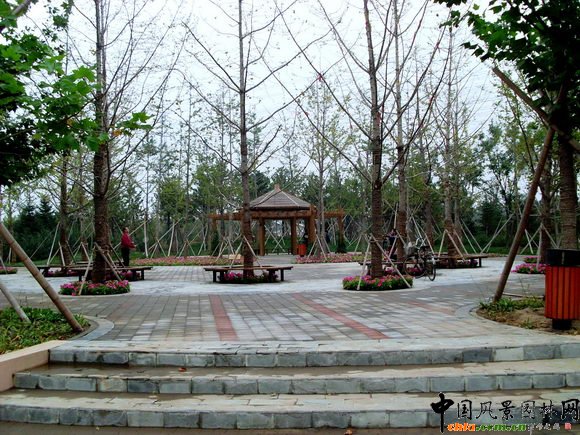 2009�걱���@�փ����OӋ��--���I���@