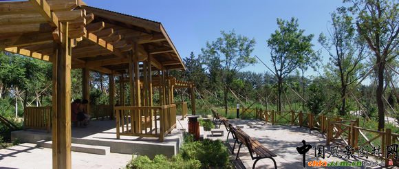 2009�걱���@�փ����OӋ��--���I���@