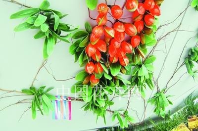 ���Ϻ�������Ӣ���^ һ����δ����ʹ���ֲ��