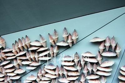 ���Ϻ�������Ӣ���^ һ����δ����ʹ���ֲ��