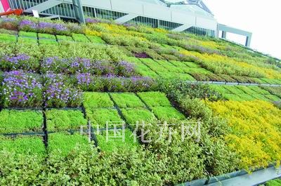 �����@��ľGɫ��̼�҈@ ׌�҂�һ�����w�