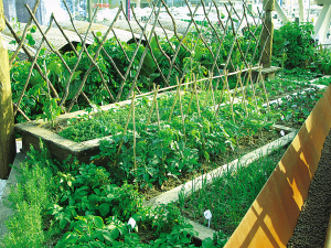 �����m�^