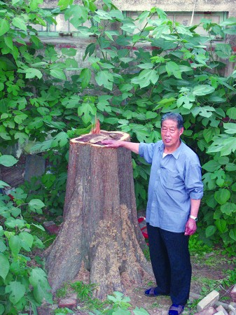 ɽ�|���ˮɼ�����T䏚� �l�����F��ľ�º��֣�