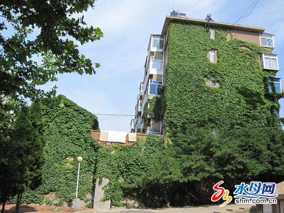 ���_���Ƿ����G���ױ��� ����ӭ��ŭ�ţ��D��