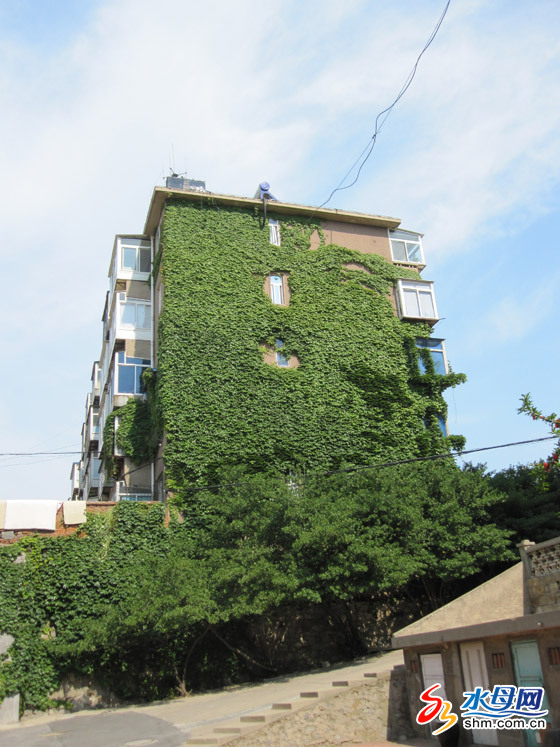 ���_���Ƿ����G���ױ��� ����ӭ��ŭ�ţ��D��