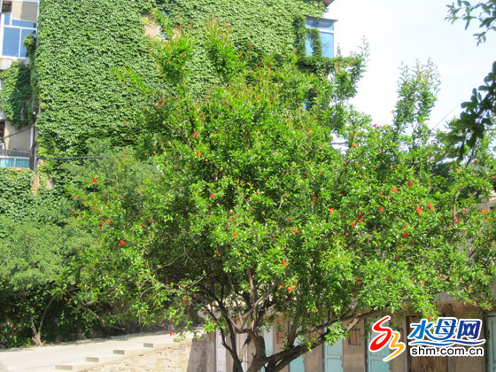 ���_���Ƿ����G���ױ��� ����ӭ��ŭ�ţ��D��