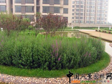 �������V���TסլС�^(q��)ʩ��ǰ�c�����󌦱�