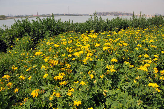 ���Ϻ��ǵľGɫӡӛ--���L�y���Ј@�־־��L��c��