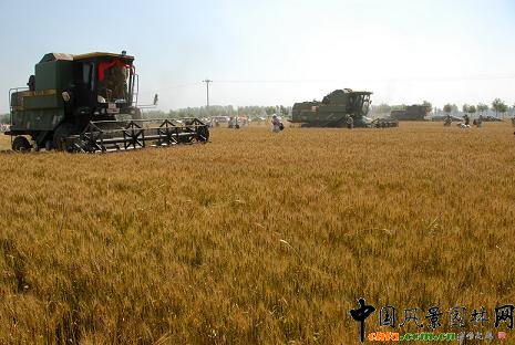 С��?zh��n)ի@��(ji��)