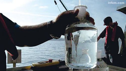 �c�����´��ڞg�[�DƬ