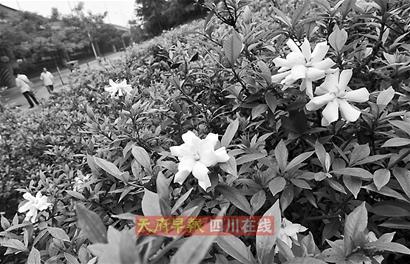 �ɶ���·߅��Ұ�����S��� ����܇��ð�U�u