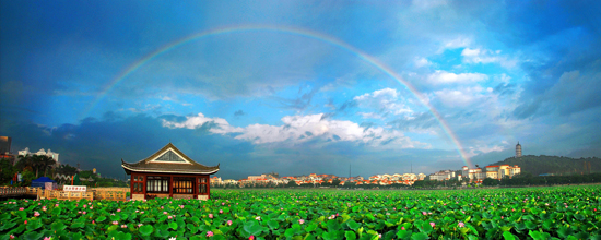 ��ɏ�����ʺ硷