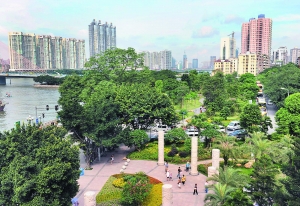 81�l���ɵ����\ǰ��ɸ���(�M�D)