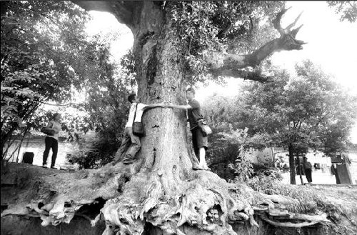 ��h���������Ɖ� ���ꡰƽ���䡱ؽ�����o���D��