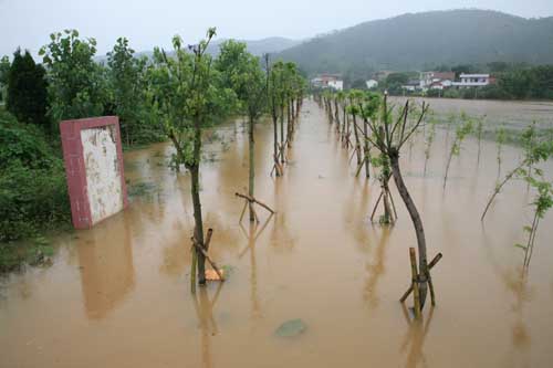 ���������L������Ű�d�� �G����ľ�ܓp����