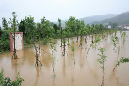 ���������L������Ű�d�� �G����ľ�ܓp����