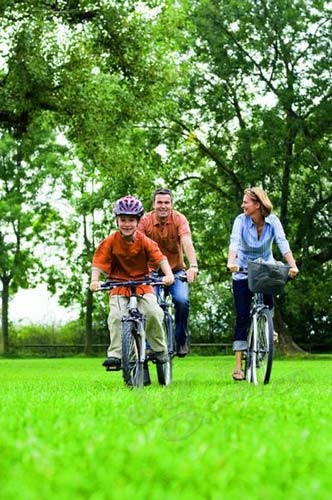 �c�����´��ڞg�[�DƬ