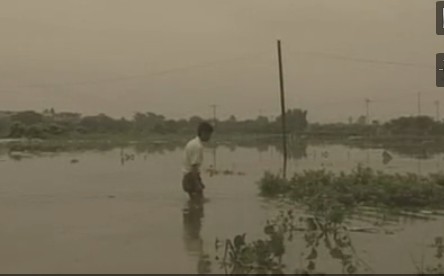 ���r������������